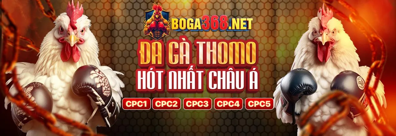 Đá gà ku88 nổ hũ – Trải nghiệm cá cược đá gà trực tuyến đỉnh cao